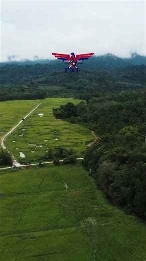 DJI Phantom 4 Multispectral In Action.