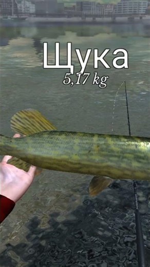 ultimate fishing simulator @spinning @fishing @simulator