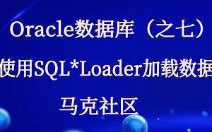 Oracle数据库（之七）使用SQL*Loader加载数据视频课程