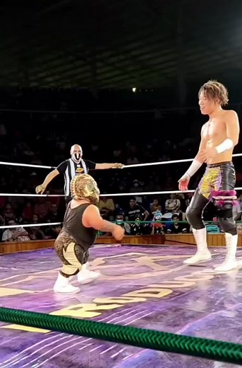 Thrilling Wrestling Match Highlights Professional Skills