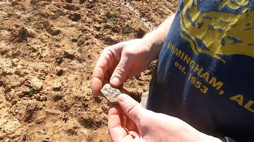 Relic hunters hit this field - and uncovered a lost chapter of history