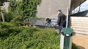 In this video a difficult hard surface track in a shopping center. The track is about 15 minutes old and has run on Dick's own scent. The dog is following the track and search for little articles with the same human scent. This is only possible when you build up the tracking training in little steps. ➡️ First teach the indication behavior ➡️ Start back chaining ➡️ Make short tracks ➡️ Teach the corners ➡️ How to make tracks ➡️ Socialize your dog very well in situations like this This ⬆️ and many
