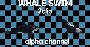 Whale 2clip Alpha