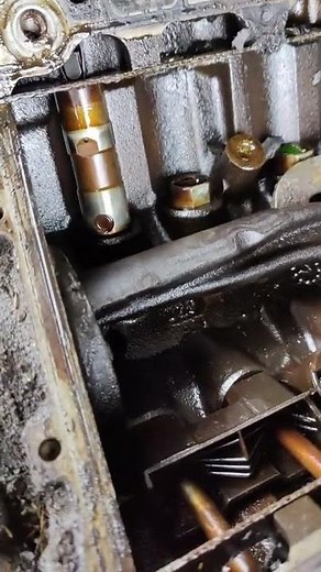 How to remove Ecotec lifters without removing the heads