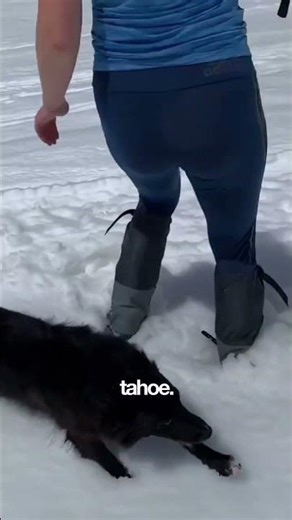 A tech investor just got approval to build a private ski resort in Nevada's