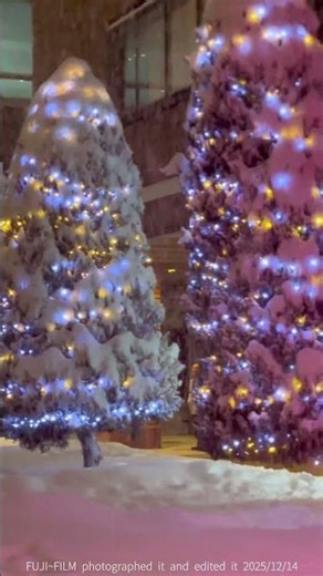 ホテル日航ノースランド帯広のサンタランドウッドランタン【1分】2025/12/14