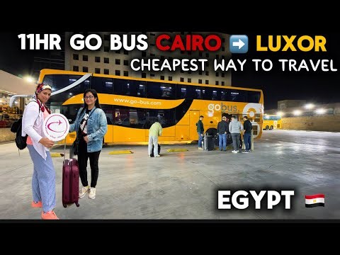 Cheapest way to go Cairo to Luxor by Go Buss in Egypt 🇪🇬