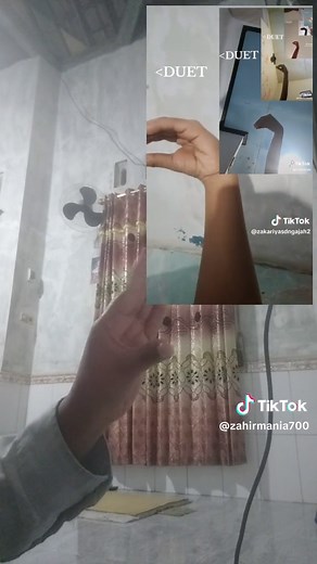 Engaging Shadow Puppet Duet Performance