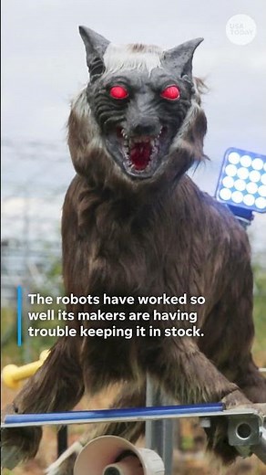 Japan unleashes 'Monster Wolf' robots to repel record bear attacks