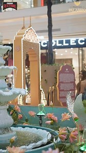 596K views · 1.6K reactions | Get ready to dazzle! The wedding...