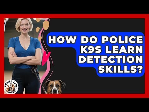 How Do Police K9s Learn Detection Skills? - Animal Care Jobs