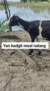 3.4K reactions · 43 shares | Yan po O. | Jayson M. Tenorio | Facebook