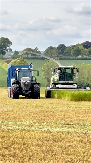 Direct Cutting Grass For Silage CLAAS Jaguar 870 Forage Harvester