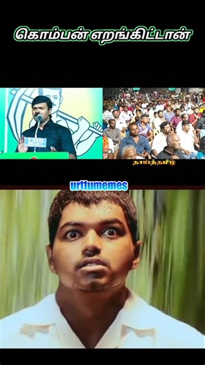 🔴கொம்பன் எறங்கிட்டான்🐯 #ntk #tvk #viralvideo