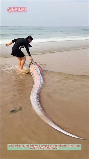 How to Save a Stranded Fish