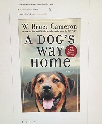 2557: A Dog's Way Home: A Novel Paperback – May 1 2018 by W. Bruce Cameron (Author)