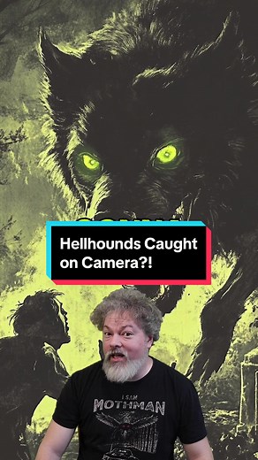 Replying to @Sebas They’re saying Hellhounds were caught on camera, but heres rhe 101 on what they are! ##hellhounds##blackdogs##folklore##cryptid##paranormal#creature