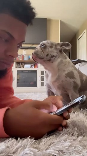 Lifewithmark on Instagram: "What yall think crème want?😭"