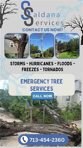 Emergency Tree Services