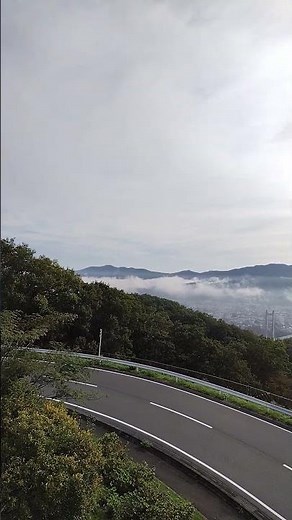 秩父 雲海終わりのミューズパーク展望台からの市内です 🌉橋で雲海と同じ場所なのが分かると思います10月2日