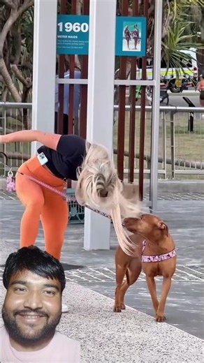 The Dog’s reaction is priceless! 🐶😂#funny #prank #comedy #youtubeshorts #viral