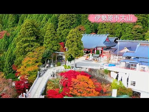 tvk公式「神奈川の風景」伊勢原編(大山)