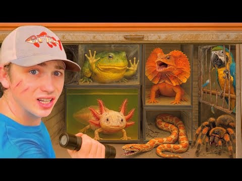 Животные в заброшенном складе: вот что я обнаружил!