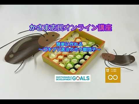 簡単に作れる〜ゴキブリ退治のホウ酸団子〜