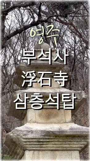 나무아미타불정근🙏범철스님 🙏 영주 부석사浮石寺#산사기행#힐링#마음의평화#shorts