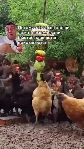 ✅ 300+ video lectures about nature and humans via the link in my profile