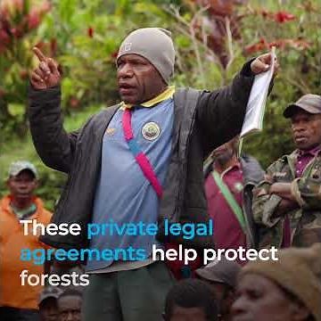 Preserving wildlife and empowering local communities through conservation deeds in Papua New Guinea