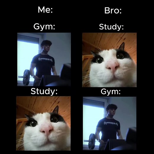 Benefits of Compressions Shirts for School and Gym