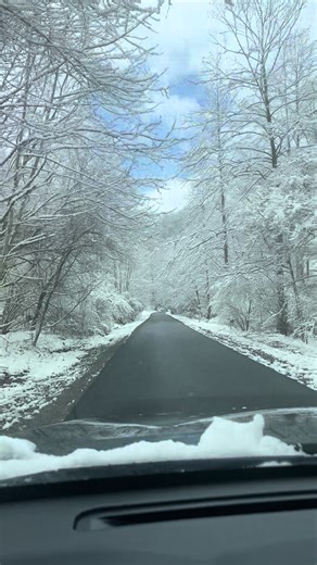 Robin Hyatt (@robinhyatt421)’s videos with Snowy Mountains Calling - Rustic Dunes