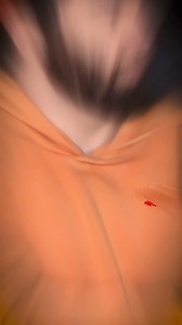 61K views · 1.2K reactions | Pokemon Trivia #pokemon #pokemoncommunity #pokemongo #anime #trivia | Wentworth Bros | Facebook