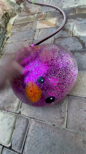 Cute Duck Explodes #satisfying #duck