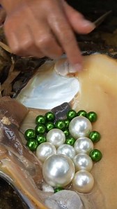 Part 316 👉 Look what I took out of the clam, baby ❤️ #pearlhunter #pearls #pearl | Digging life