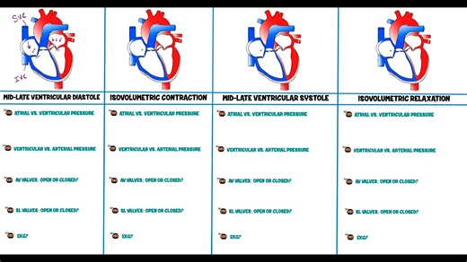 009.Cardiovascular | Cardiac Cycle- Digital Version
