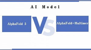 AI modle蛋白质复合体结构预测，哪个更准，AlphaFold3 or AlphaFold-Multimer？