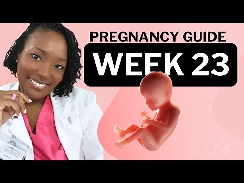 23 Weeks Pregnant: What To Expect