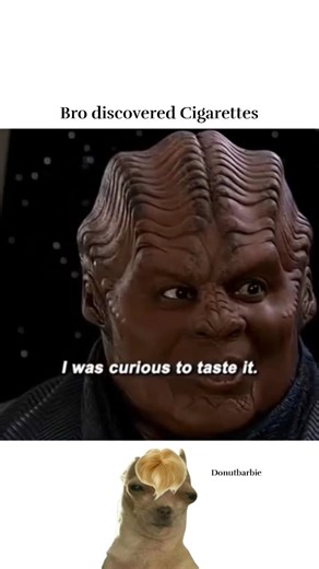 They discovered cigarettes 🥹 #memes