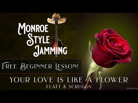Free Beginner Mandolin Lesson! - Your Love is Like a Flower