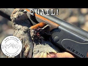 Arizona Quail! I'm Back!