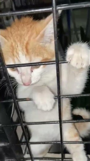 Potty training before bedtime