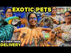 திகிலூட்டும் EXOTIC PETS IN KARNATAKA AQUARIUM | Bengaluru