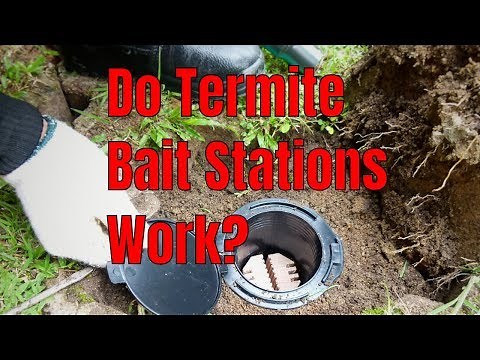 Do Subterranean Termite Bait Stations Work? 🤨