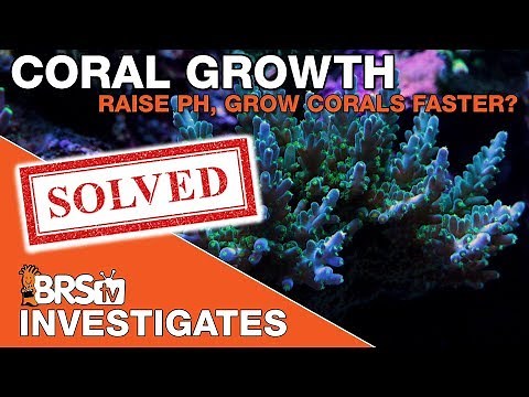 Reef Tank pH, benefits of raising saltwater aquarium pH | BRSTV Investigates