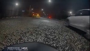 244K views · 806 reactions | Tipper truck release tons of stones on...
