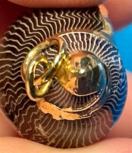 Vintage Shell Pendant Gold Tone Wrapped Seashell Charm Necklace Pendant - Etsy