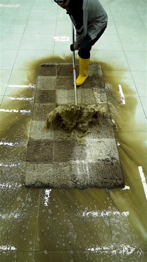Amazing Carpet Cleaning Transformation