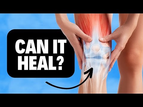Can the Meniscus Tear in Your Knee Heal On Its Own? Knee Cartilage